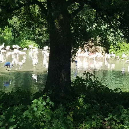 Leopoldskron Apartamento Salzburgo